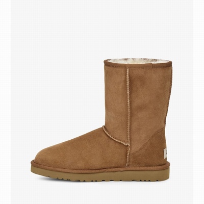 Botas UGG Classic Short Homem Marrom | PT-MQHLR